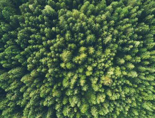 Pflege von Managementsystemen (Qualität, Umwelt, Energie, Sicherheit und Gesundheitsschutz)