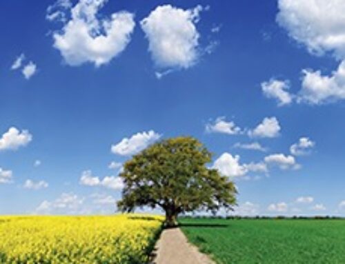 Änderung von ISO 9001 und ISO 14001